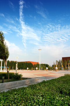 東北石油大學(xué) 園林 園藝 花草