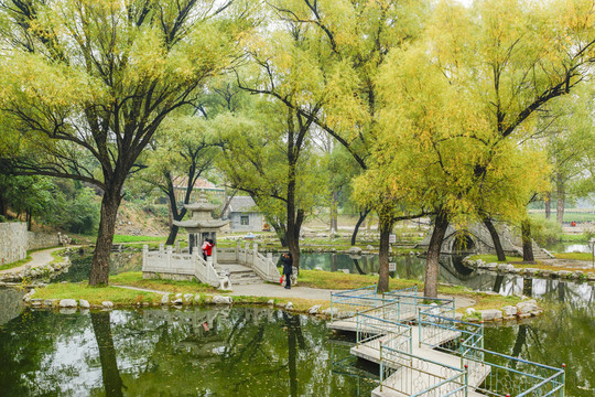 公園秋色