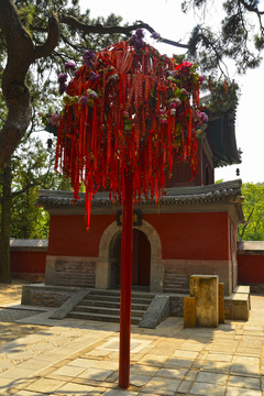 平安節(jié)
