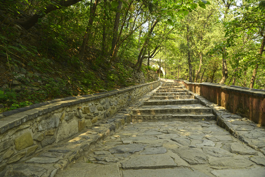 山路石階