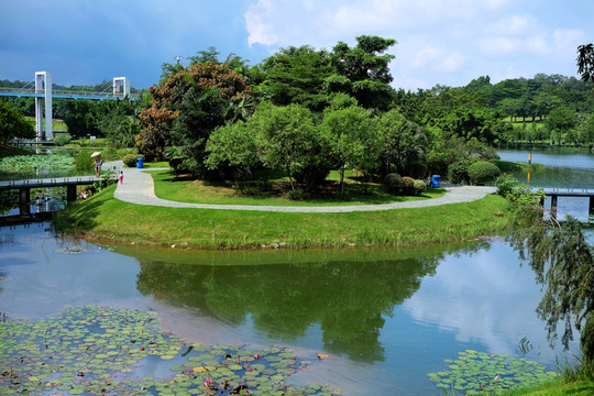 東莞植物園