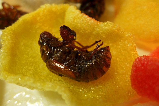 蠶蛹美食