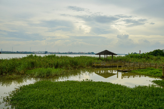 沼澤公園涼亭
