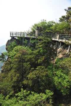 山區(qū)風(fēng)景