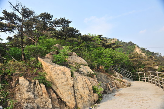 山區(qū)風(fēng)景