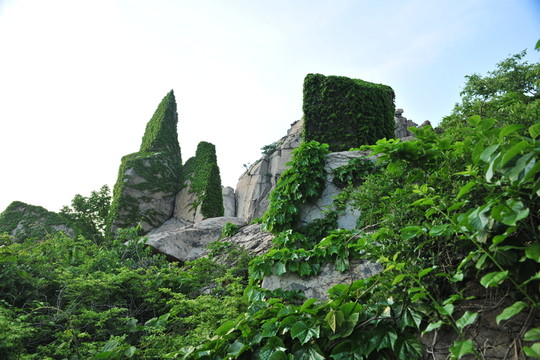 山區(qū)風景
