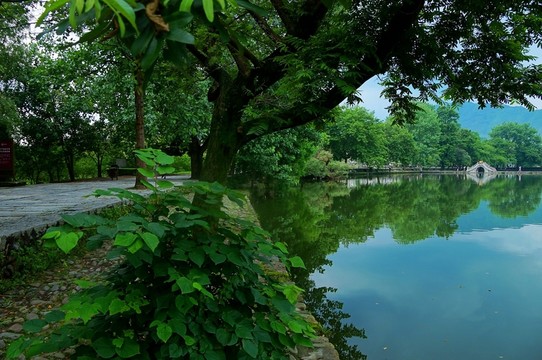 安徽宏村南湖湖畔湖光石橋美景