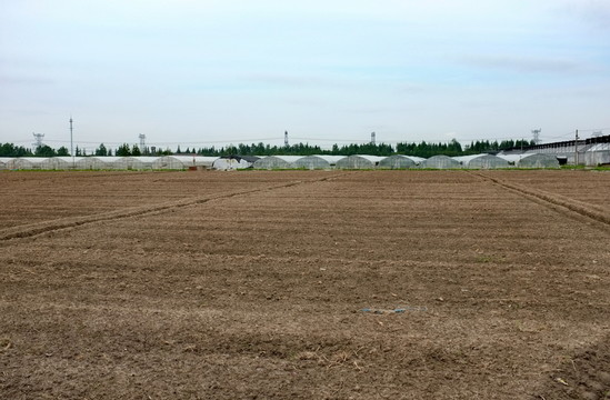 農(nóng)田