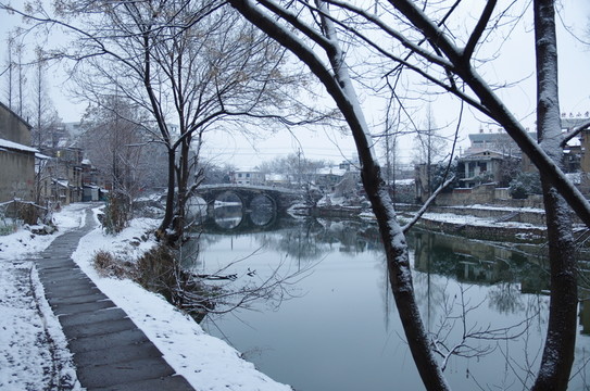 西橋瑞雪