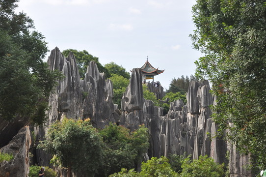 云南石林風景攝影
