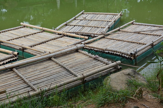 竹排