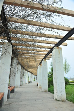 公園長廊