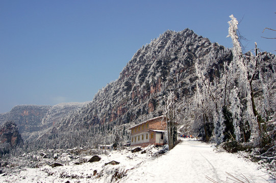 山野雪景
