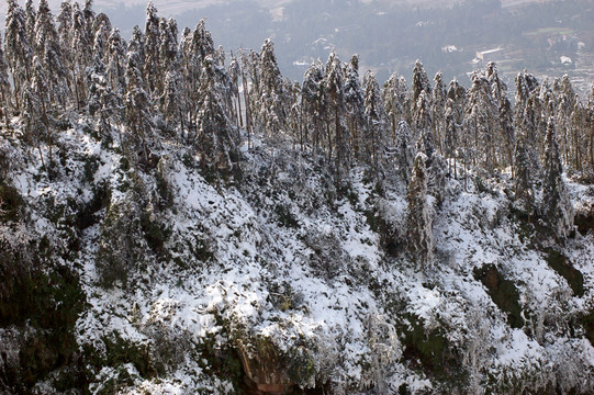 森林雪景