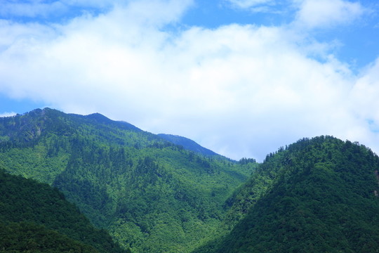 丘陵景觀