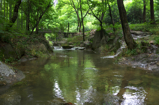 瑯琊山幽香谷溪流