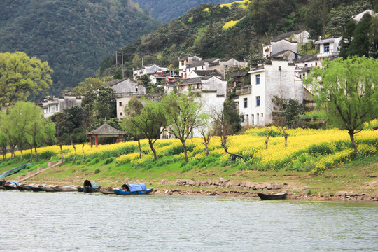小山村