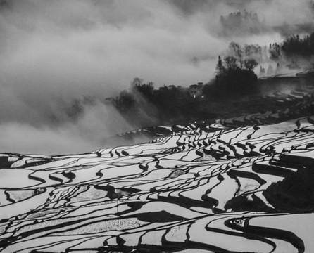 元陽(yáng)梯田的日出