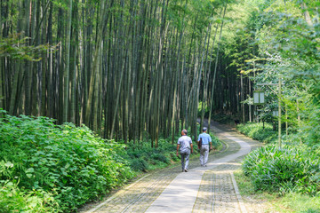 林中小路