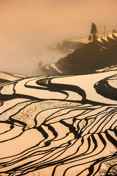 元陽梯田