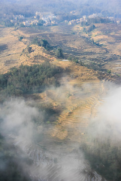 元陽(yáng)梯田