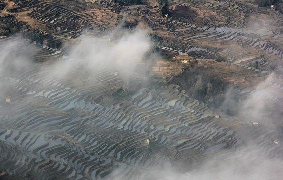 元陽(yáng)梯田