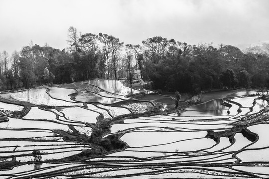 元陽(yáng)梯田
