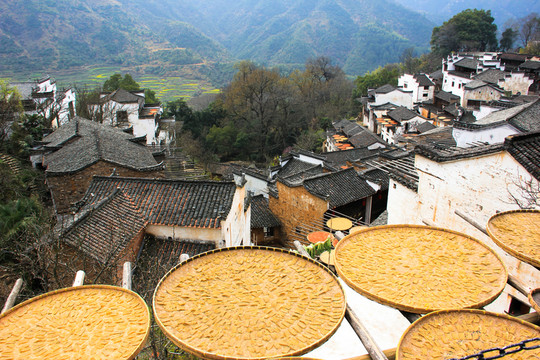 曬農(nóng)產(chǎn)品