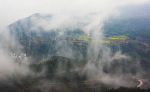山霧