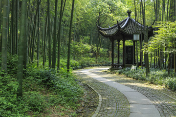 林蔭小道