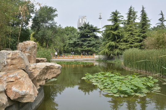 石家莊少兒活動中心