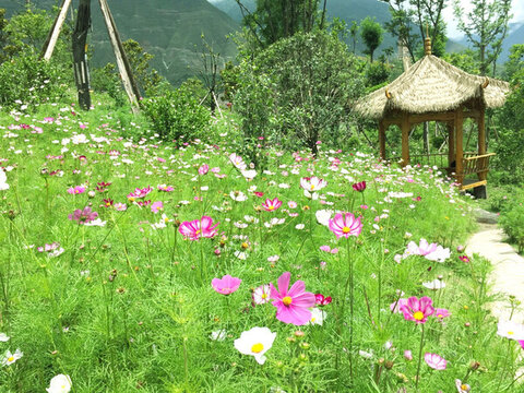 花