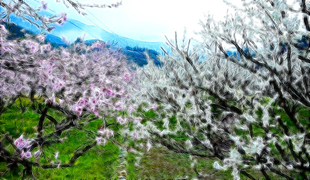 山坡田園風(fēng)景
