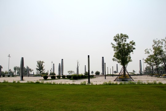 海灘綠化  東戴河