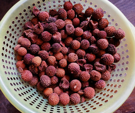 荔枝干果