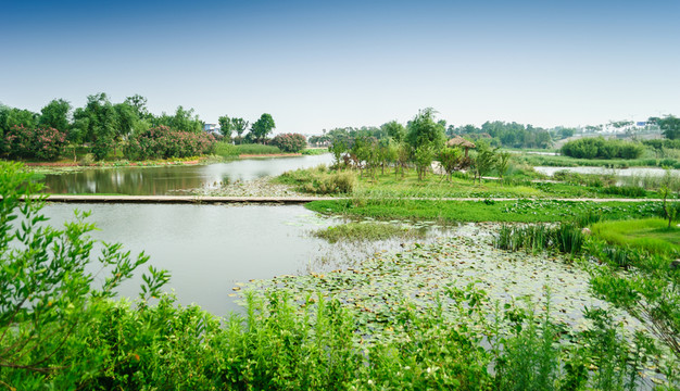 濕地公園