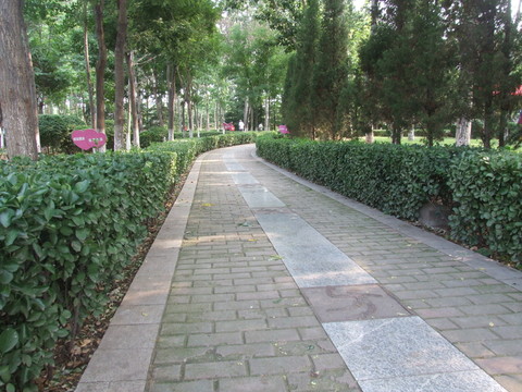 小徑