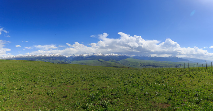 草原雪山風(fēng)光高清接片