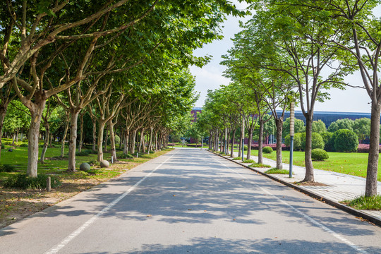 大學(xué)景色
