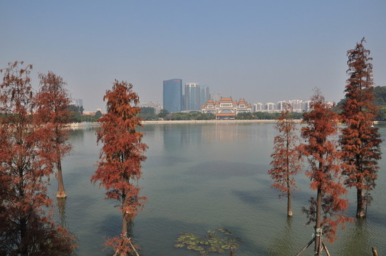 湖泊風光