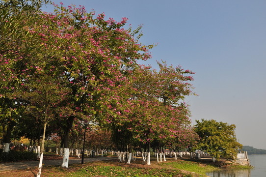 公園一角