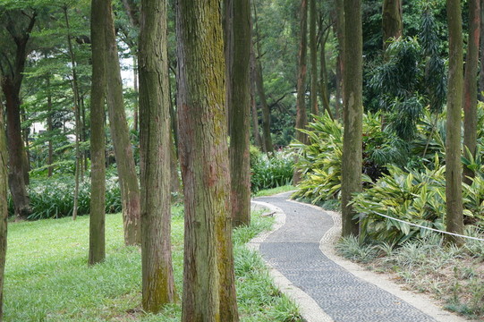 小路