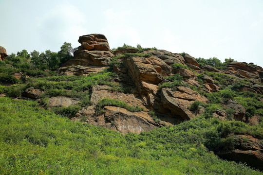 黃花溝