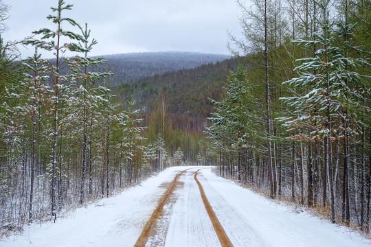 山林公路雪景