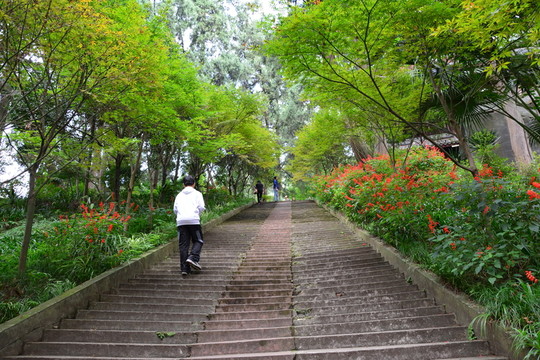 鶴鳴山階梯