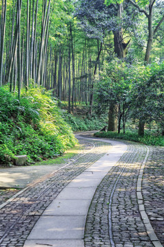 竹林