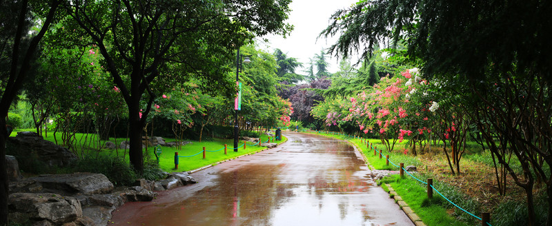 雨后的公園