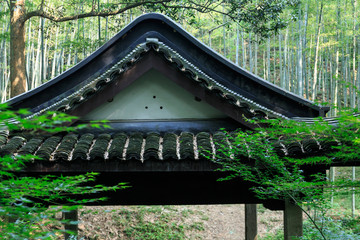 竹子