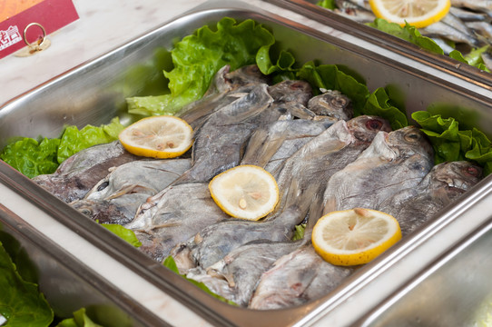 鯧魚(yú)
