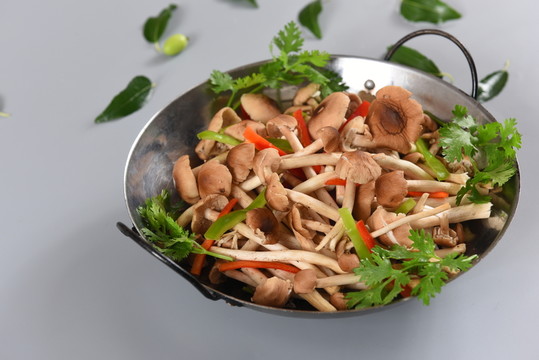 干鍋茶樹(shù)菇